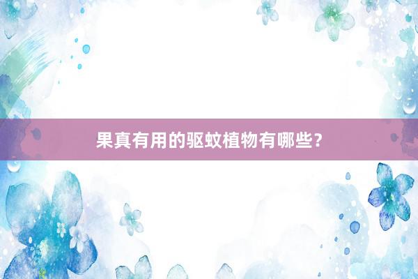 果真有用的驱蚊植物有哪些？