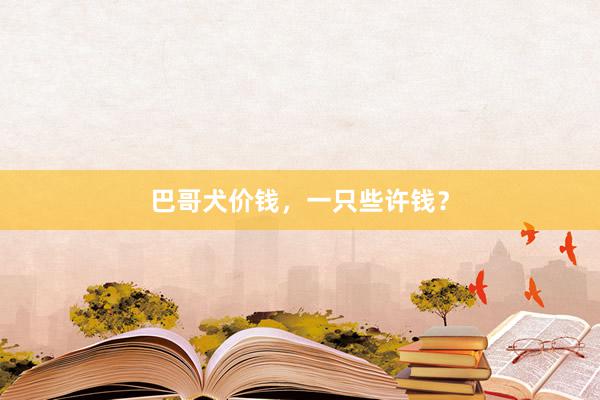 巴哥犬价钱,一只些许钱?