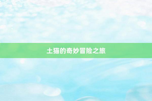 土猫的奇妙冒险之旅